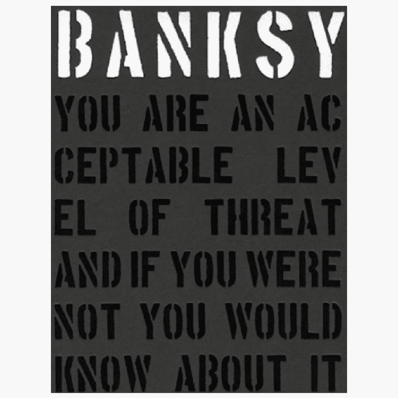 Banksy – You are an acceptable level of threat Bok